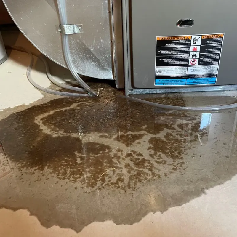 Pipe Burst and Leak Restoration in Champion Heights, OH