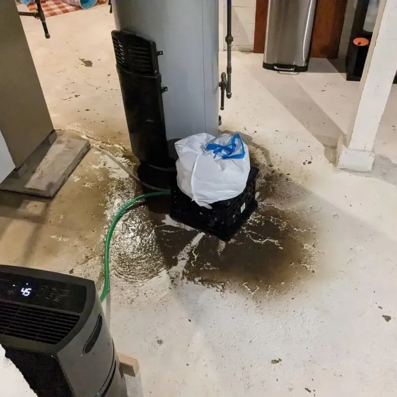 Sewage Backup Cleanup Service in Champion Heights, OH